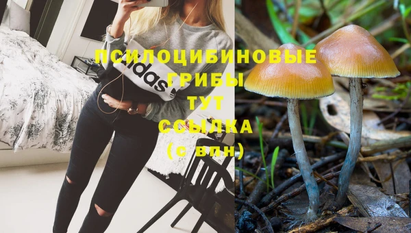 mix Армянск