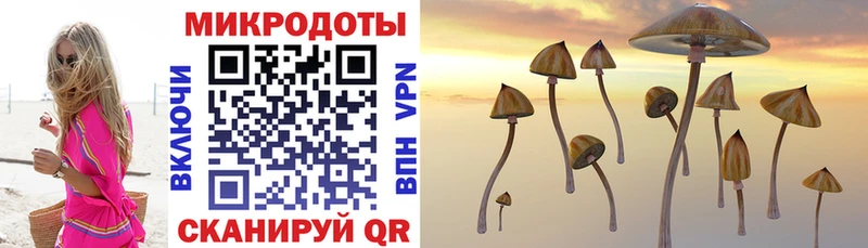 цена наркотик  Светлый  Галлюциногенные грибы Psilocybine cubensis 