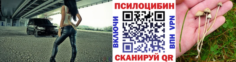 Псилоцибиновые грибы Cubensis Светлый