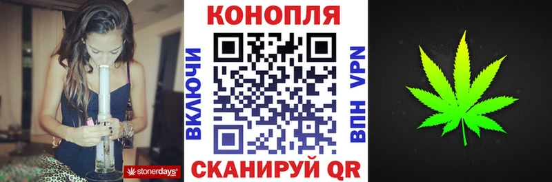 Шишки марихуана сатива Светлый